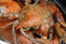 Seasoned Steamed Crabs In Pot Stock Images Seasoned Steamed Crabs In Pot Stock Images