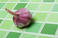 Head Of The Garlic Stock Photography Head Of The Garlic Stock Photography