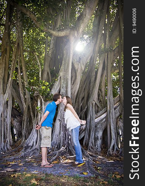 A young couple kissing under a large Banyan tree. A young couple kissing under a large Banyan tree.