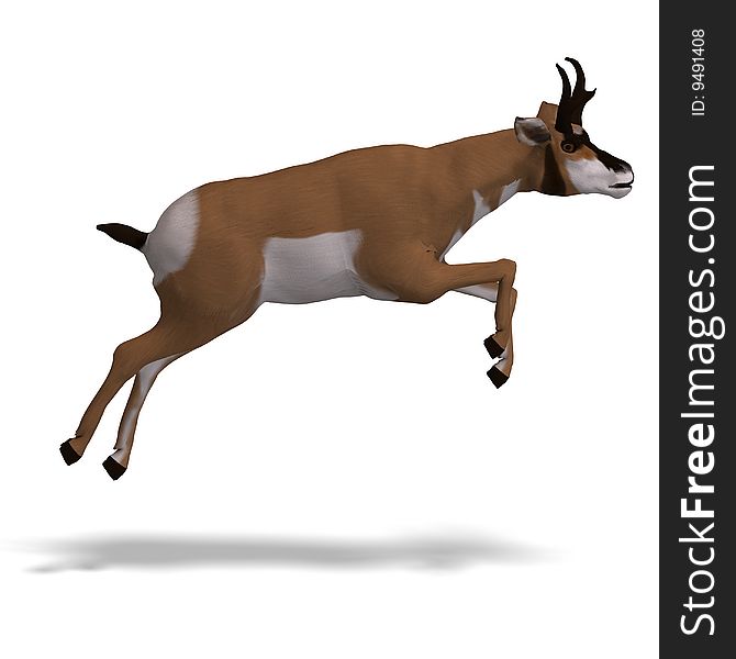 Rendering of an antelope with Clipping Path and shadow over white