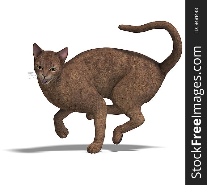 Rendering of a cat with Clipping Path and shadow over white