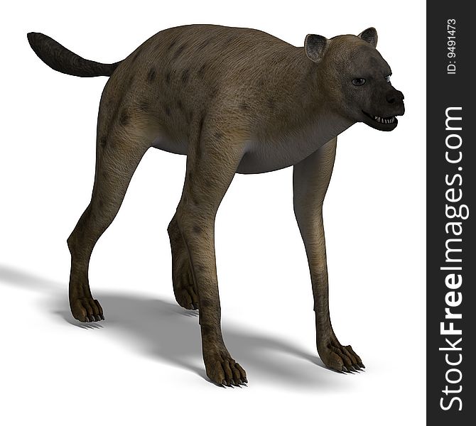 Rendering of a hyena with clipping path and shadow oder white