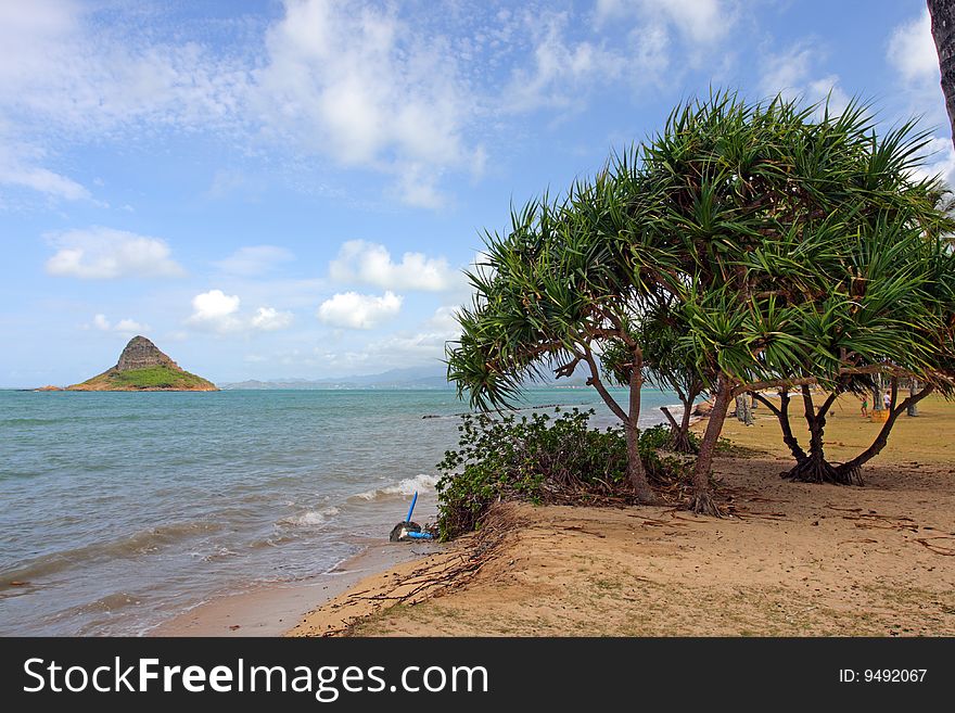 Chinaman s Hat, O ahu, Hawaii