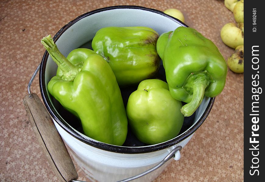 Sweet green  pepper in  can