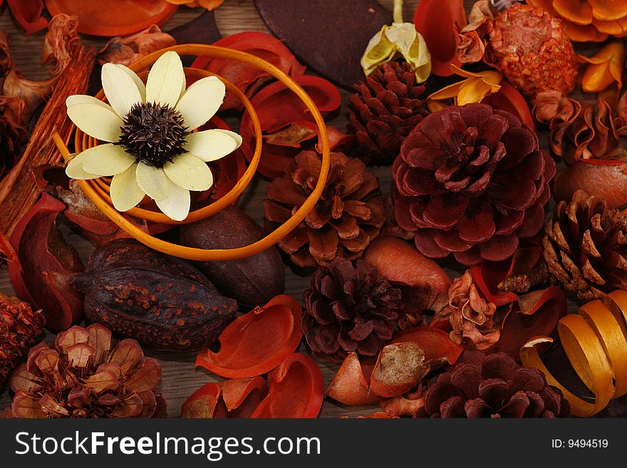 Still-life in red-orange tones with a flower