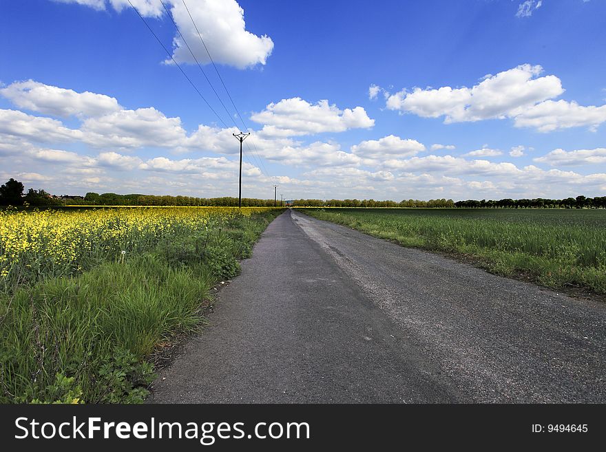 Perspective view of a country road with nice sky and rape