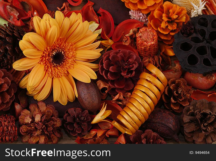 Still-life in red-orange tones with a flower