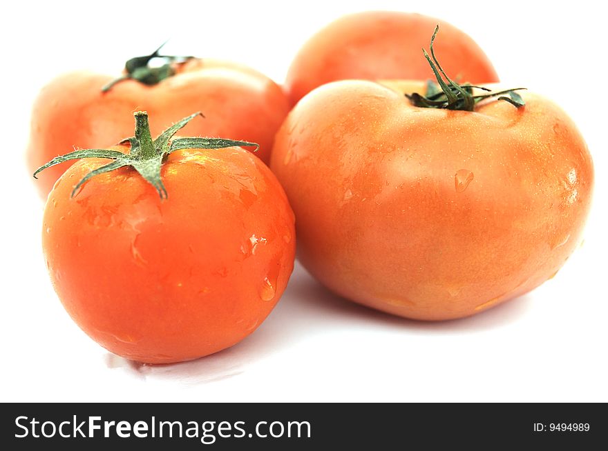 Four Tomatoes on white background