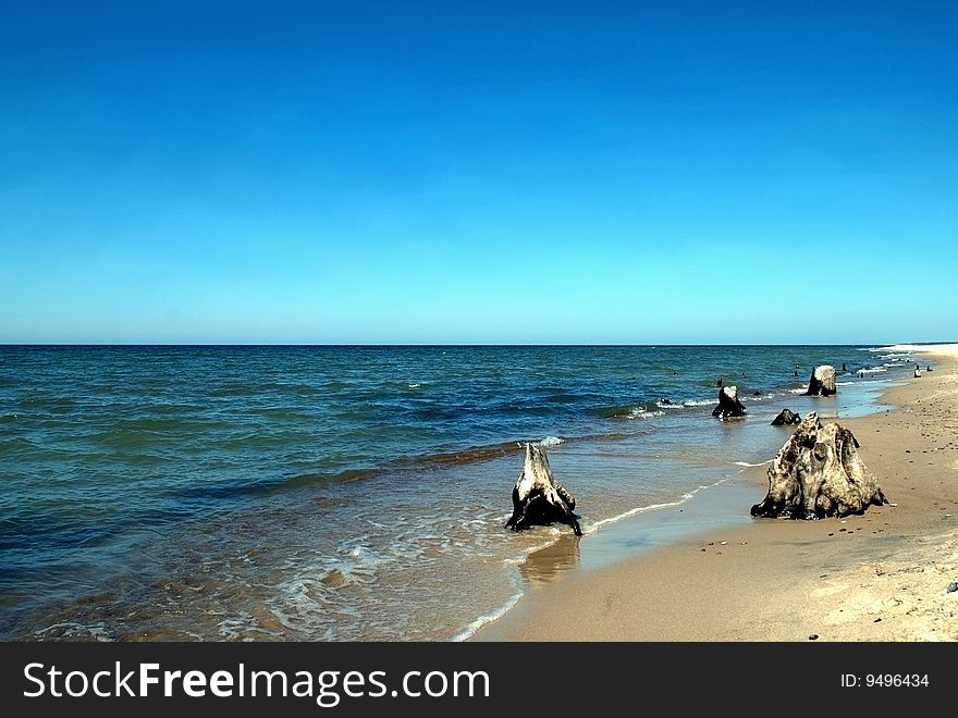 Baltic beach with pieces of wood under the sunny sky. Baltic beach with pieces of wood under the sunny sky