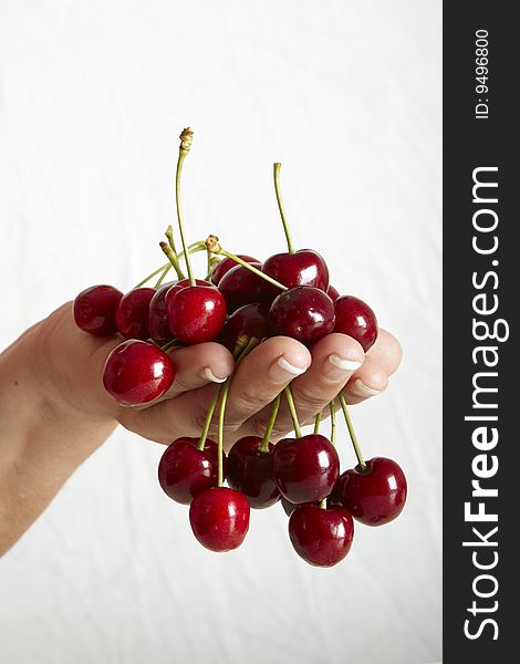 Red cherries in the hand