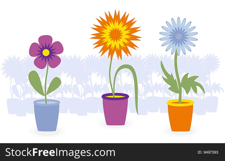 Flowers in pots, illustration-style applications.