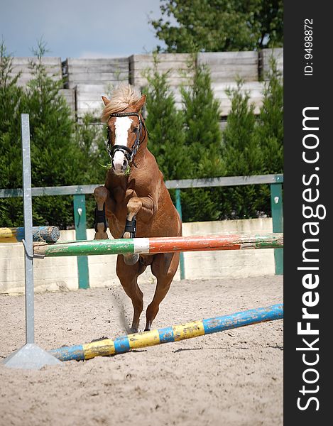 A brown horse jumping over a stand.