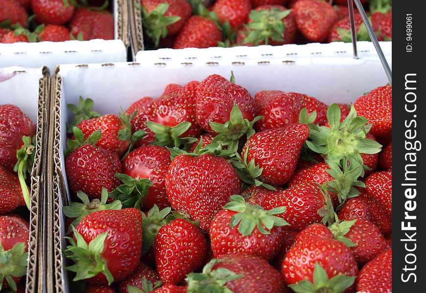 Strawberries for sale at the market in boxes. Strawberries for sale at the market in boxes