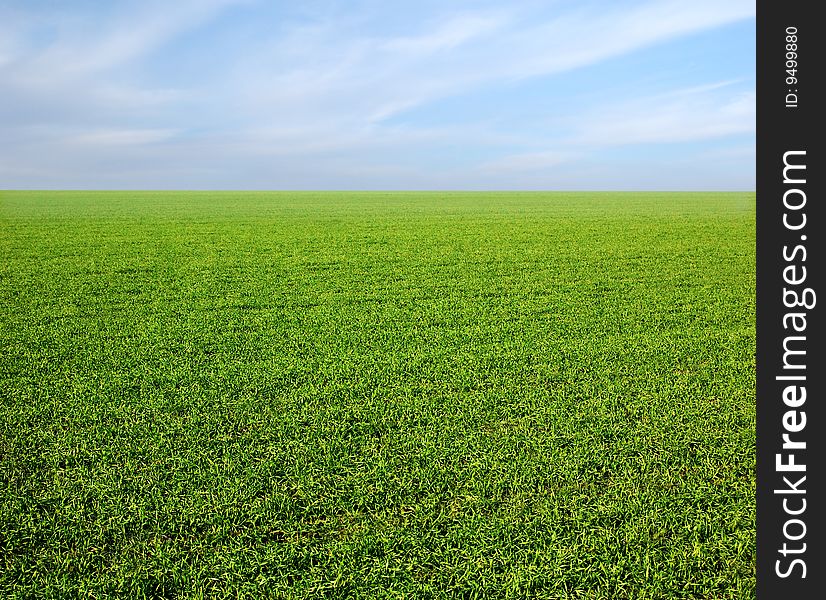 Clear blue sky over a green field - photo. Clear blue sky over a green field - photo