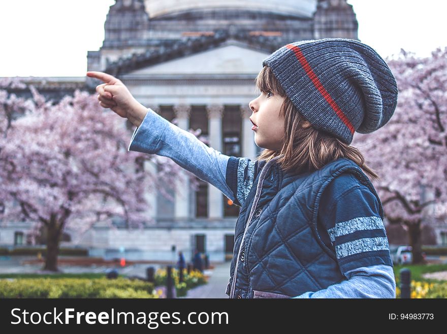Child Looking At Cherry Blossoms