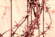 Barbed Wire Stock Photography Barbed Wire Stock Photography