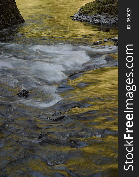 Golden Wahclella Creek in the Columbia River Gorge National Scenic Area