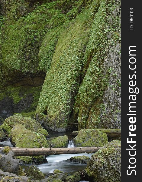 Wahclella Creek in the Columbia River Gorge National Scenic Area
