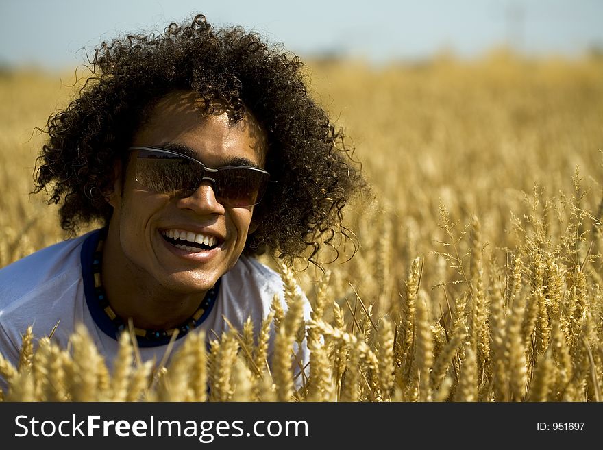 Cool guy sitting in a cornfield. Cool guy sitting in a cornfield