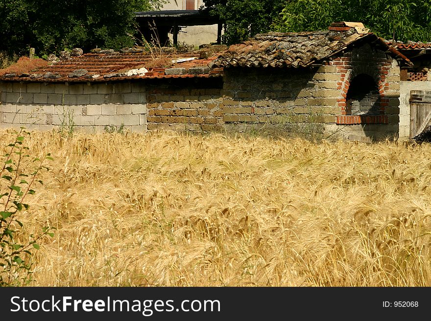 Ruined old stone oven and buildings sitting in a golden field of wheat. Ruined old stone oven and buildings sitting in a golden field of wheat