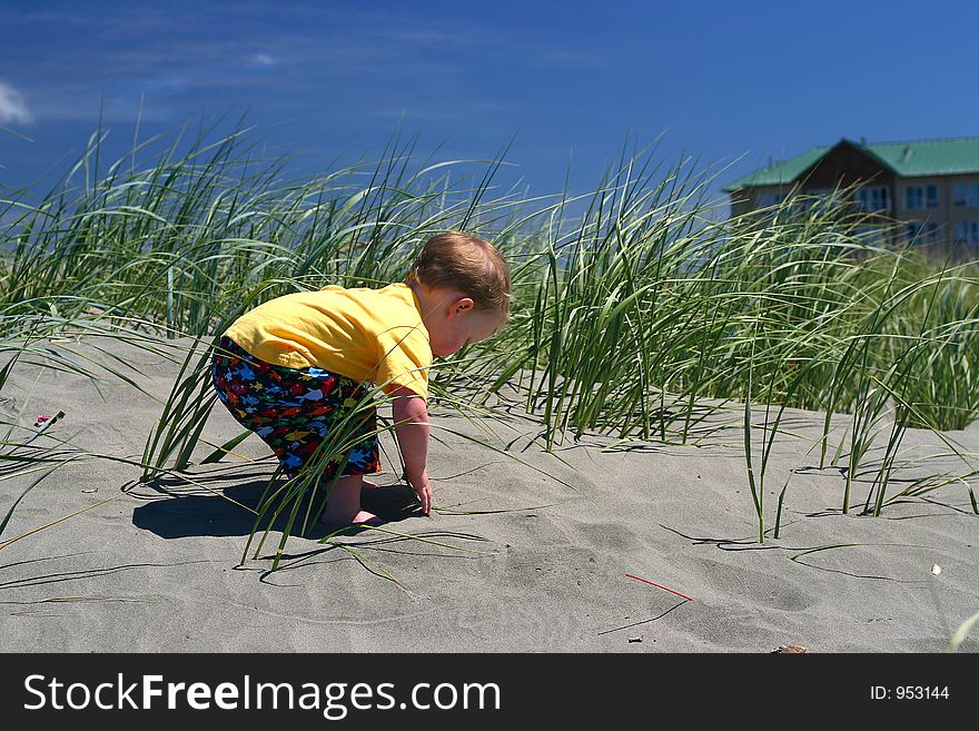 Small child has fun playing in the sand at the beach. Small child has fun playing in the sand at the beach