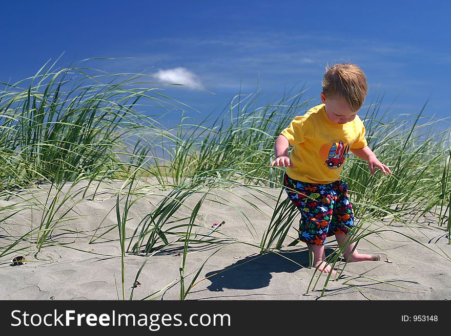 Toddler at the beach