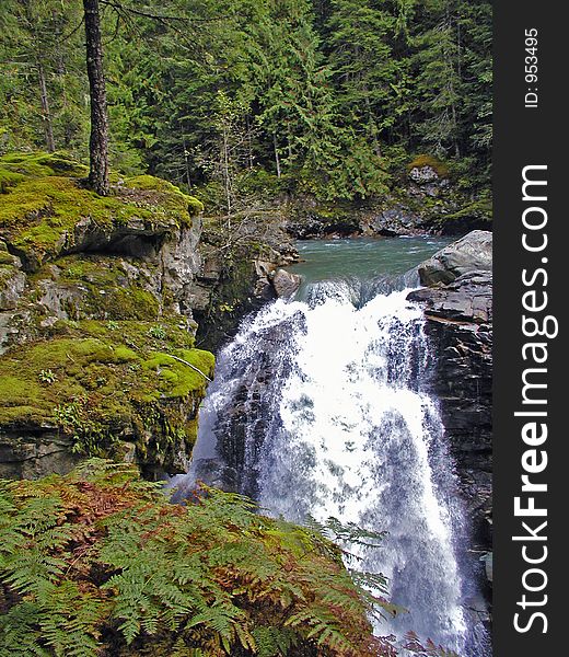 This image of the waterfall was taken in the vicinity of Mt Baker near the Canadian border in Washington. This image of the waterfall was taken in the vicinity of Mt Baker near the Canadian border in Washington.