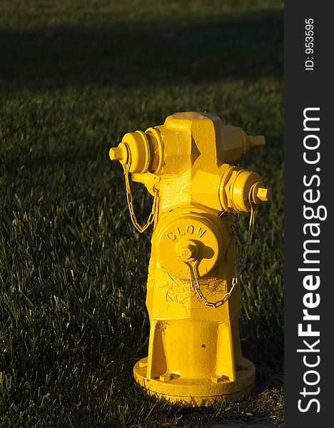 Bright yellow hydrant