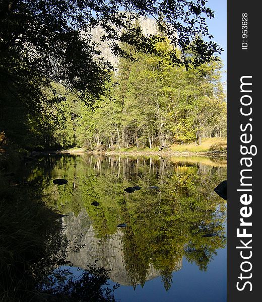 Reflection of fir trees in a lake in Yosemite Valley,  Yosemite National Park, California. Reflection of fir trees in a lake in Yosemite Valley,  Yosemite National Park, California.