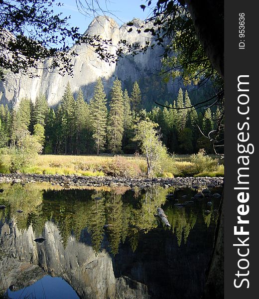 Reflection of fir trees and moutnains in a lake in Yosemite Valley, Yosemite National Park, California. Reflection of fir trees and moutnains in a lake in Yosemite Valley, Yosemite National Park, California.