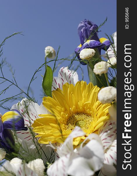 Bouquet of flowers on the background of the blue sky