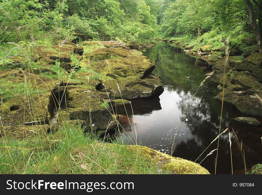 Beautiful river scene. Beautiful river scene