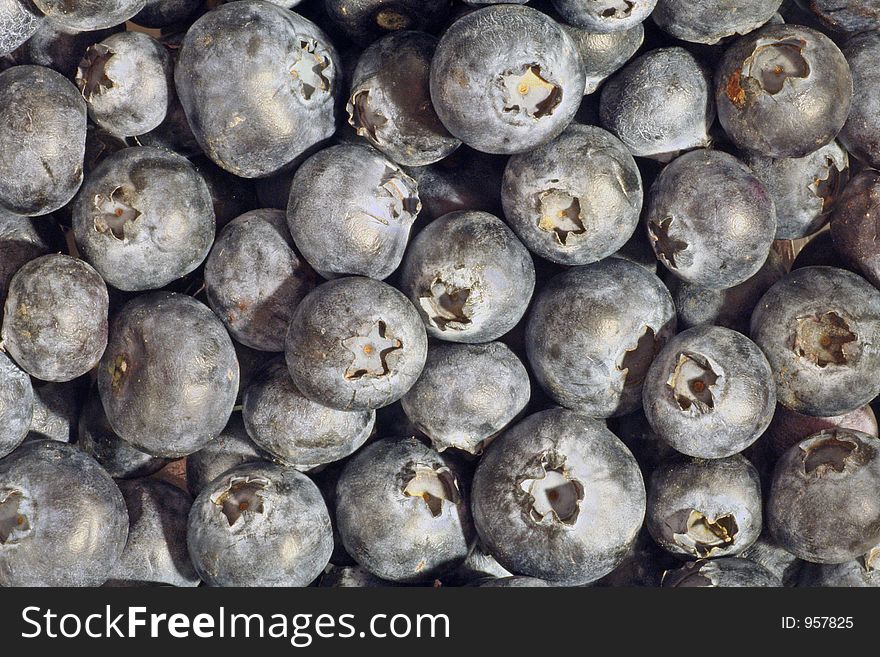 Background of fresh blueberries. Background of fresh blueberries