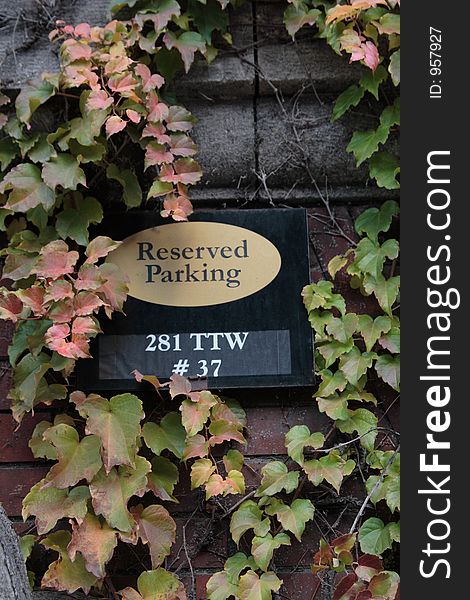 Reserved parking sign and ivy with green and pink autumn leaves on a brick wall. Reserved parking sign and ivy with green and pink autumn leaves on a brick wall