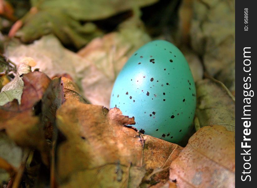 Small green egg dropped out of the nest.