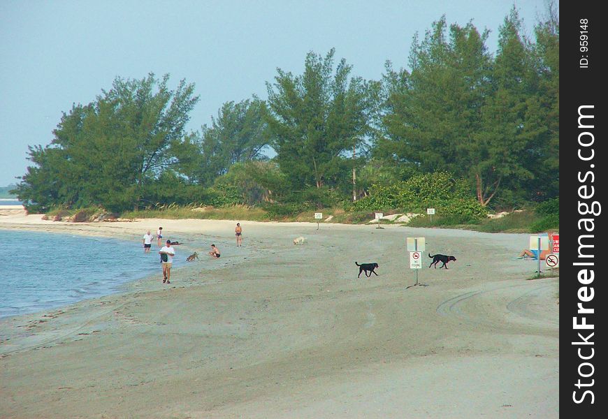 These folks enjoy a day at the beach at Fort Desoto State Park, St Petersburg, FL.