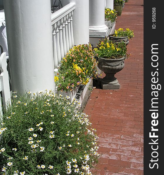 Flowers along a sidewalk. Flowers along a sidewalk