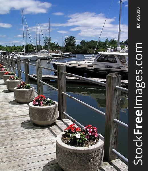 Flowes On The Dock