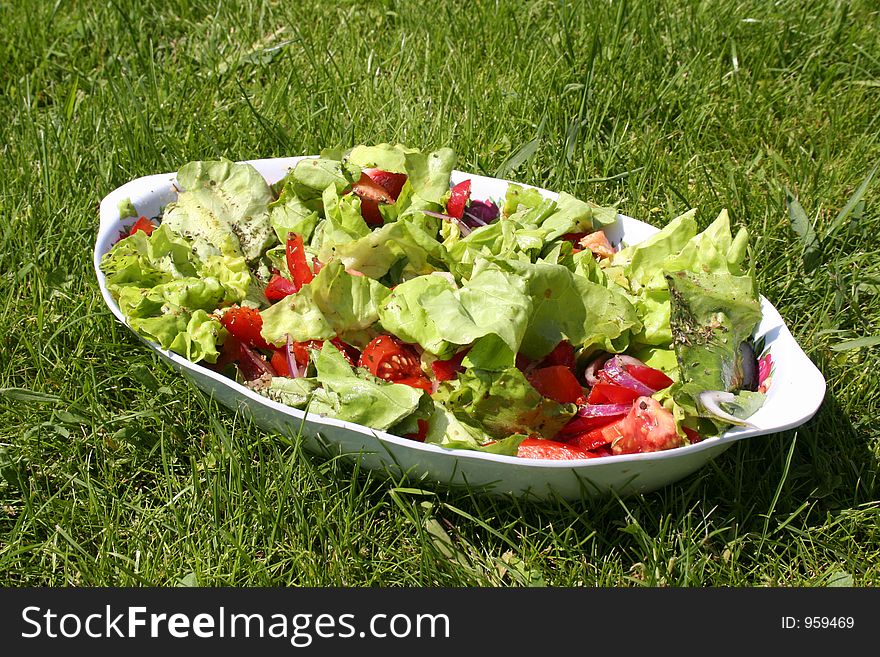 Fresh salad and tomato on grass