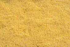 Sown Millet Stock Images Sown Millet Stock Images