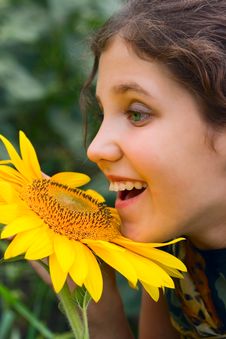 Beauty Teen Girl And Sunflower Stock Image Beauty Teen Girl And Sunflower Stock Image