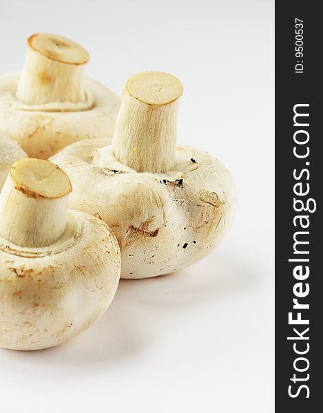 Details of three champignon on a with background