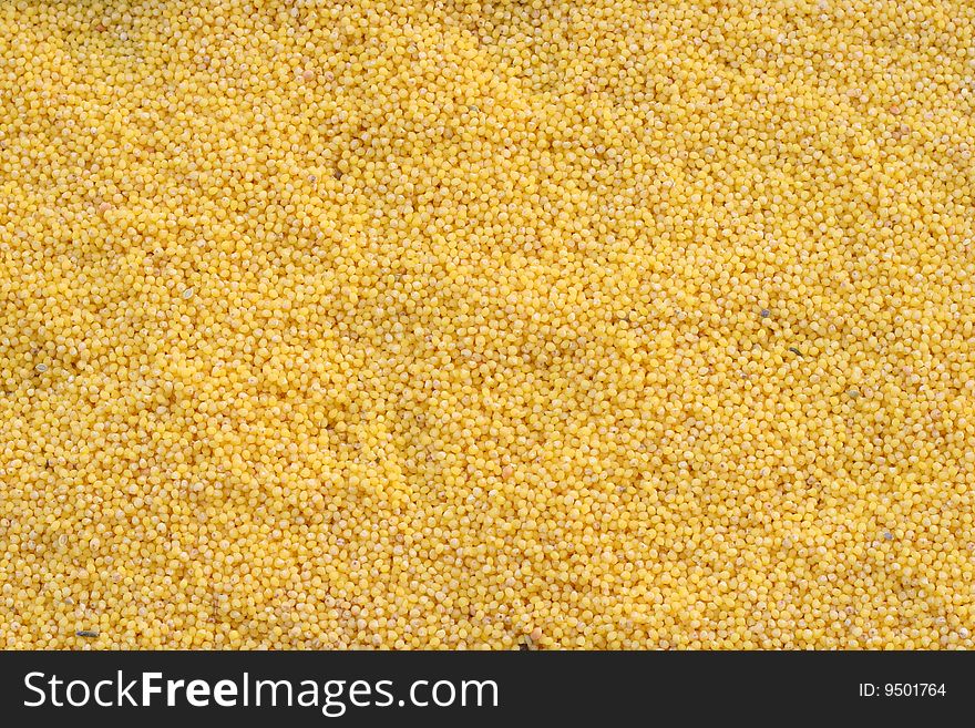 Sown millet (Panicum miliaceum) as a yellow background