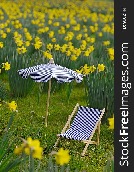 Meadow with daffodils, sunbed and parasol. Meadow with daffodils, sunbed and parasol