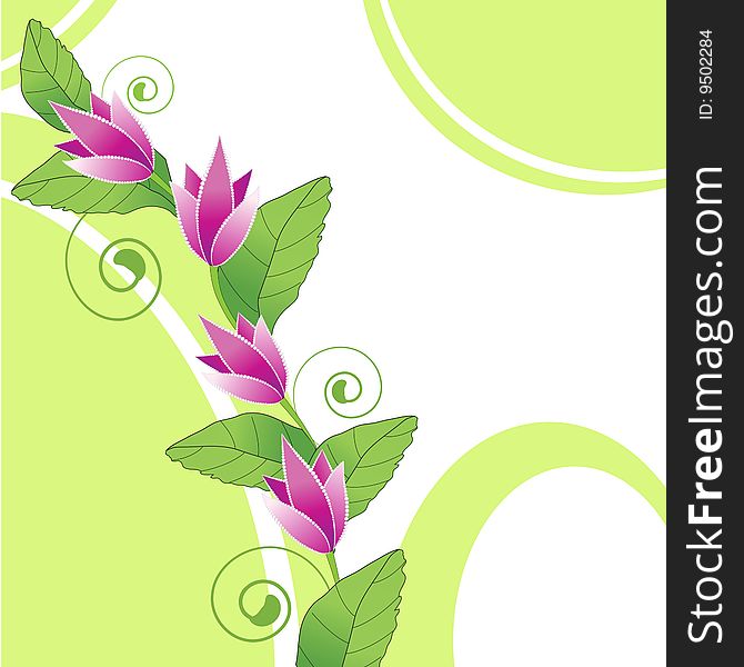 Summer background with flowers and leaves. Summer background with flowers and leaves
