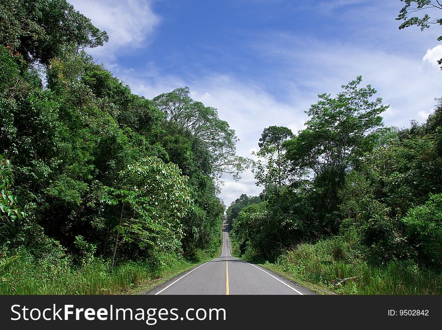 Road In Forest Of National Park, Thailand