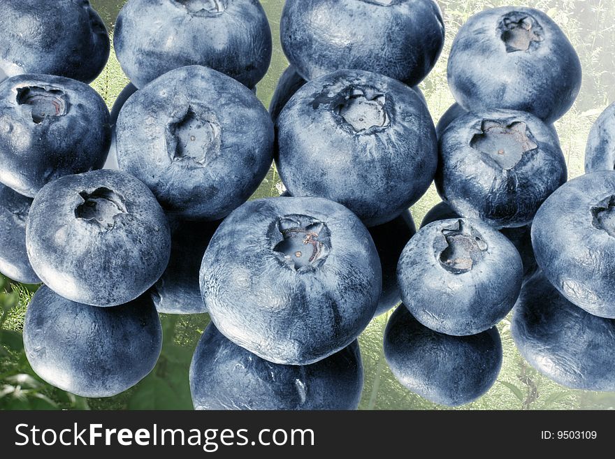 Macro shot of blueberries on a reflective surface