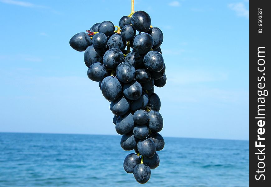 Bunch of ripe grapes against the sea and sky background