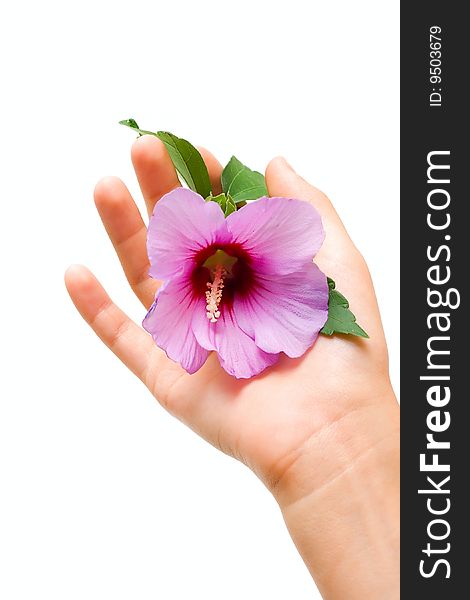 Flower in human hand isolated on white