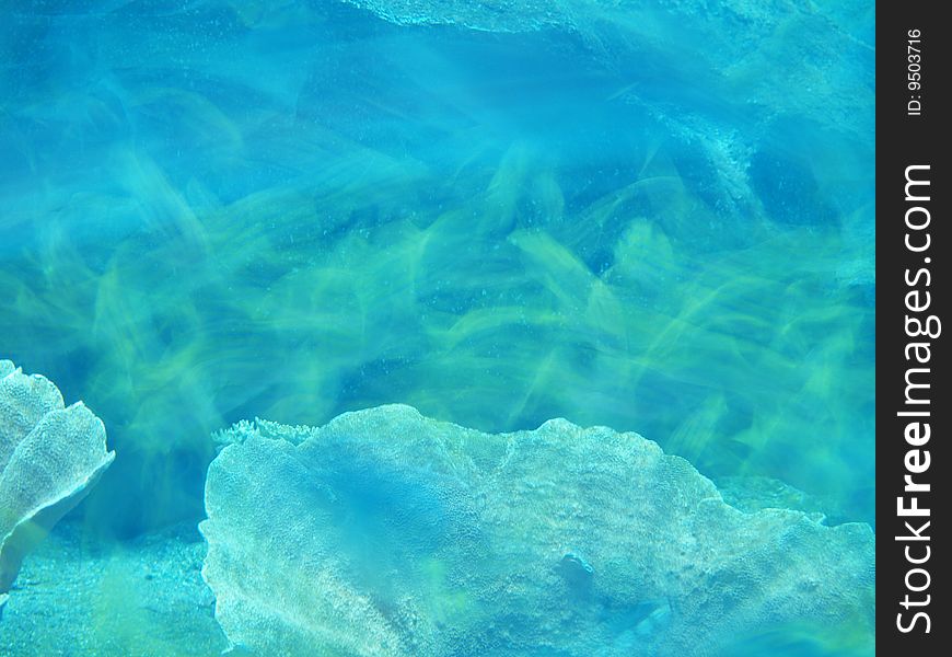 Underwater reef 01